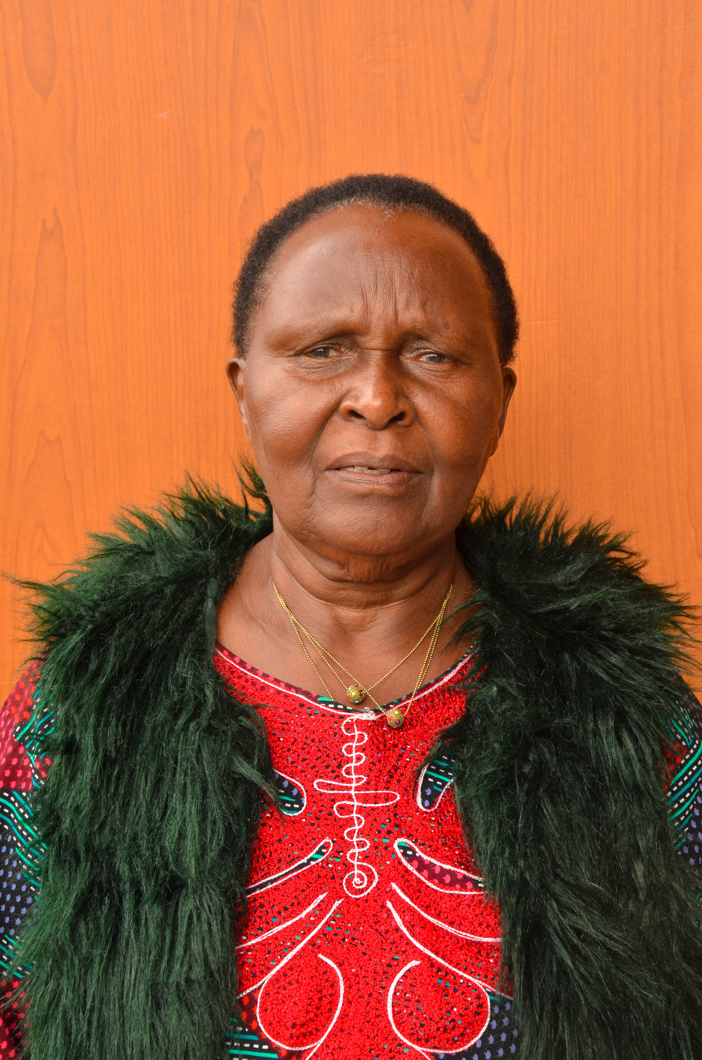 Retired Elder 2